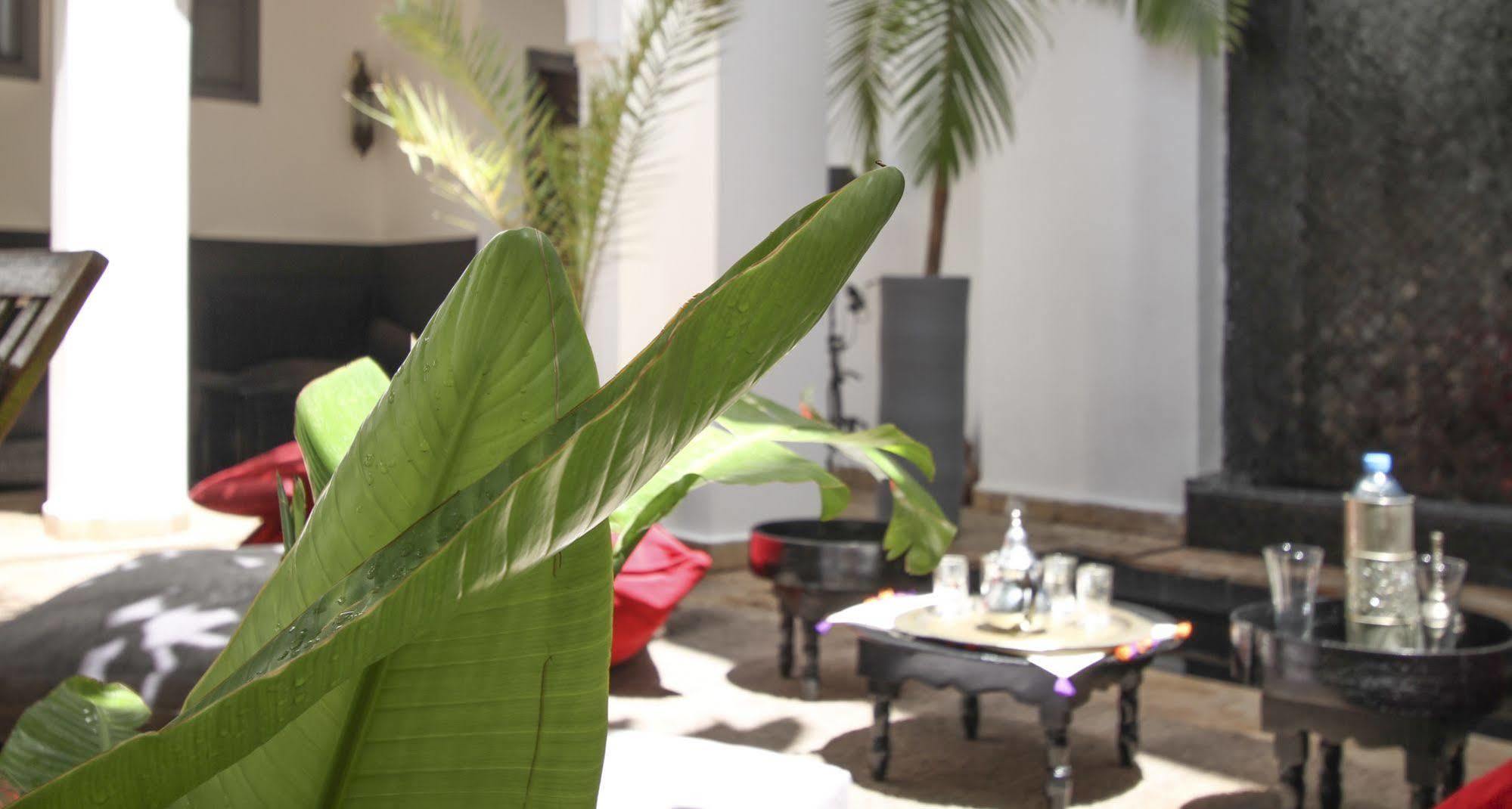 Riad 64 Maison D'hôtes&Spa Marraquexe Exterior foto